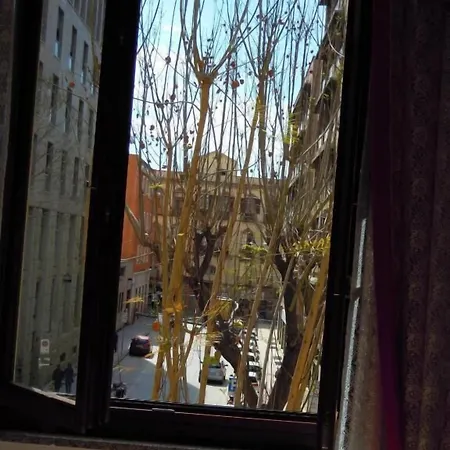 4 Mori 3* كالياري